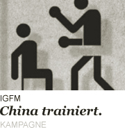 igfm china